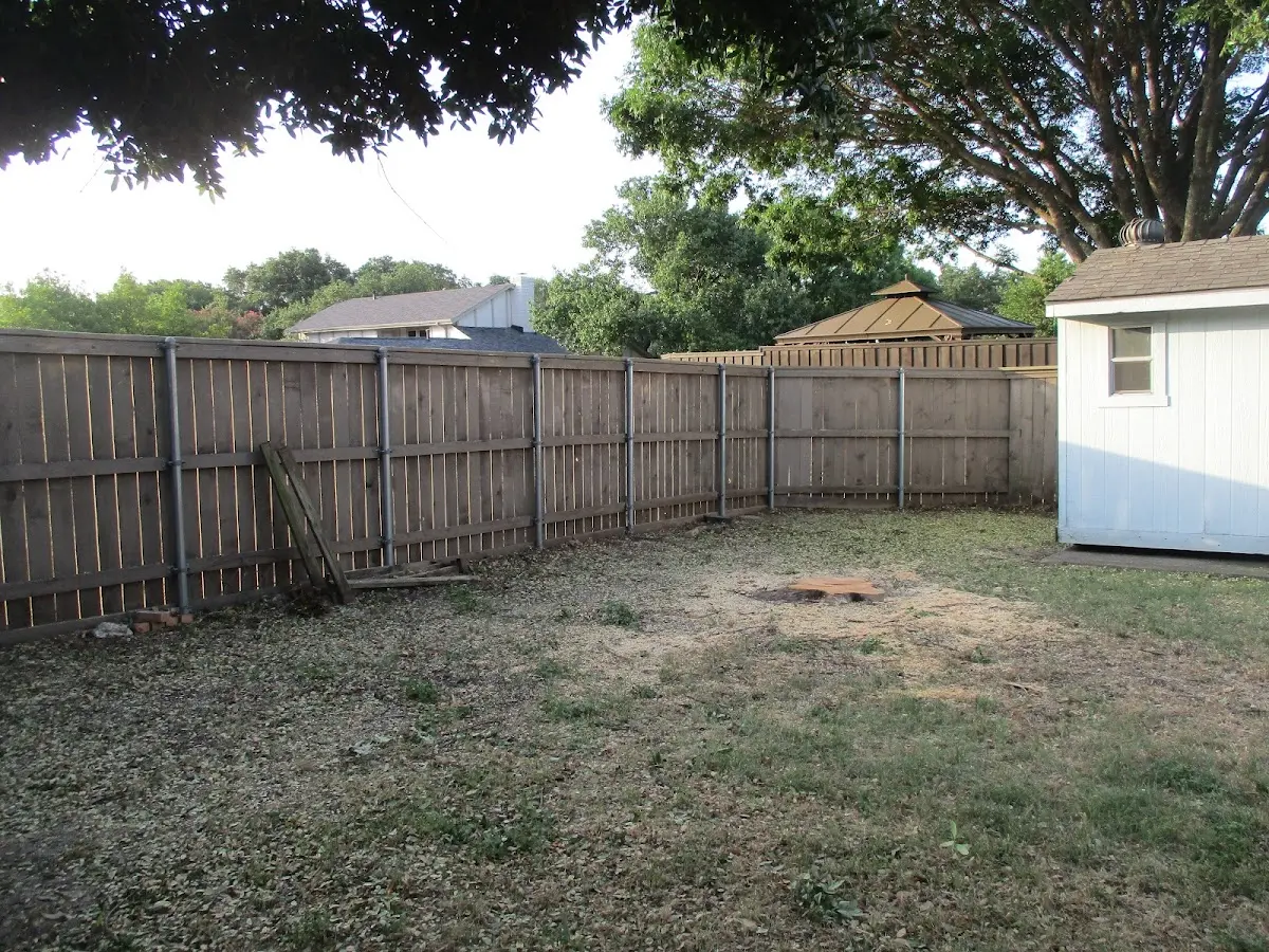 Cleared yard after professional tree removal in Paradise